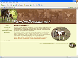 Painted Dreams Paint Trail Horse Breeders